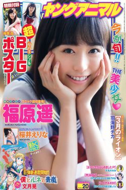 金瓶双艳大乳
